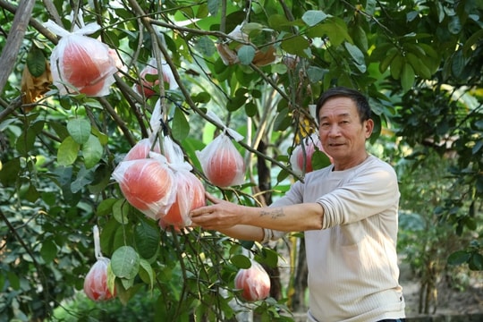 Giúp người dân nâng cao kiến thức, làm chủ khoa học kỹ thuật