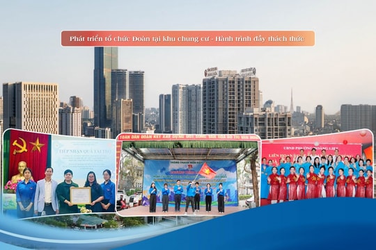 Phát triển tổ chức Đoàn tại khu chung cư - Hành trình đầy thách thức: Bài 3: Những Bí thư Chi đoàn “truyền lửa”, gắn kết người trẻ