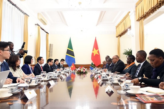 Phó Thủ tướng, Bộ trưởng Ngoại giao Bùi Thanh Sơn hội đàm với Bộ trưởng Ngoại giao và Hợp tác Đông Phi Tanzania