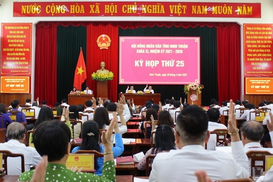 Ninh Thuận: Chuyển đổi hơn 14ha rừng để thực hiện dự án nghỉ dưỡng