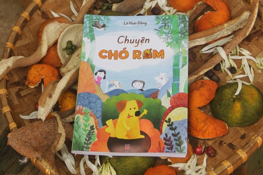 Đọc để hiểu và thương