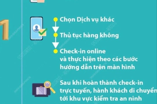 Sử dụng VNeID làm thủ tục hàng không như thế nào?