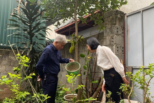 Hà Nội: Chủ động các biện pháp phòng, chống sốt xuất huyết