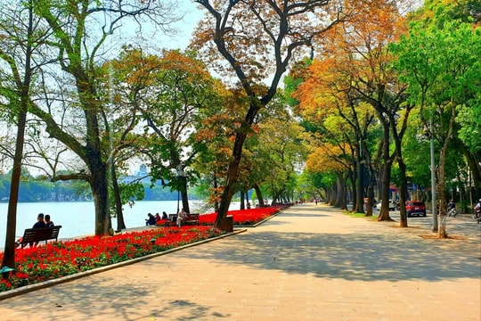 [Podcast tản văn] Hương phố
