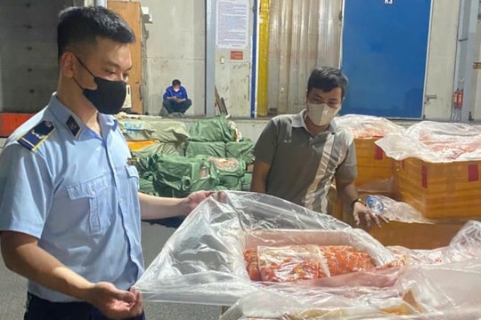 Hà Nội phát hiện 7.010 kg nội tạng động vật không rõ nguồn gốc