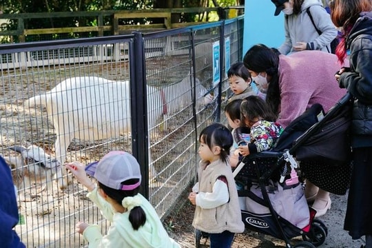 Dân số trẻ em Nhật Bản giảm liên tiếp 44 năm