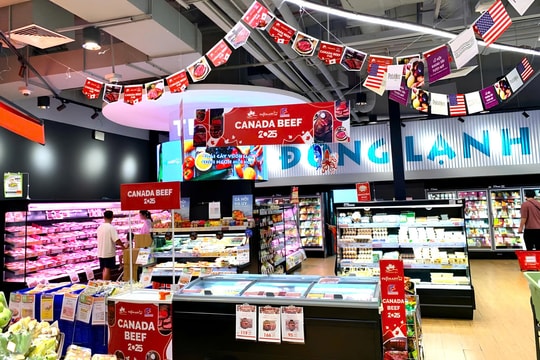 Lễ hội bò Canada 2025: Cơ hội vàng để chọn bò nhập khẩu ngon, giá hợp lý