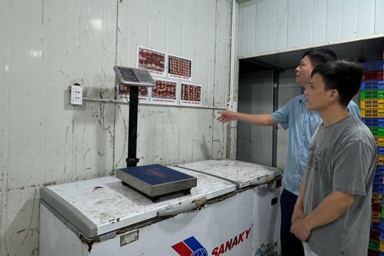 Huy động sự vào cuộc của người dân giám sát, phát hiện vi phạm về an toàn thực phẩm