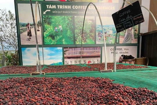 4 tháng đầu năm 2025: Xuất khẩu nông, lâm thuỷ sản đạt 21,15 tỷ USD