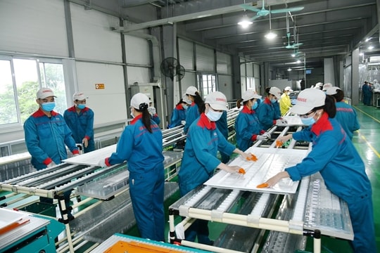 Đưa kinh tế tư nhân thành động lực quan trọng nhất của nền kinh tế