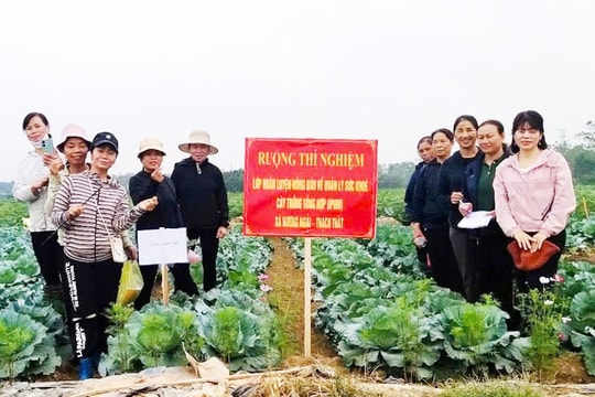 Chính sách bảo vệ môi trường trong nông nghiệp: Hướng tới mô hình xanh, an toàn, bền vững