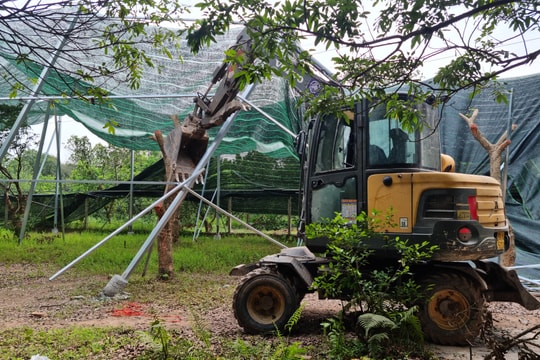 Hoài Đức: Xã Đông La xử lý "nóng", dứt điểm 63 trường hợp vi phạm trên đất nông nghiệp mới phát sinh