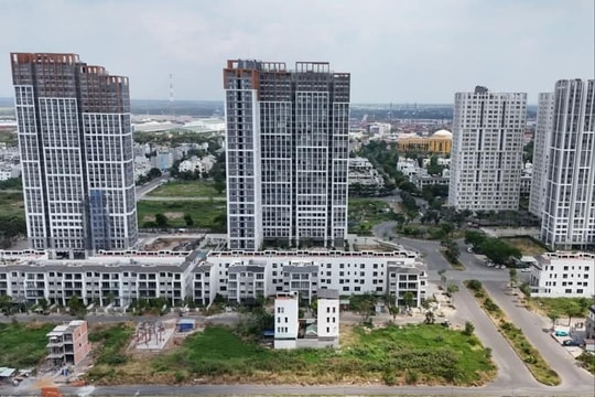 TP Hồ Chí Minh: Khẩn trương hoàn tất thủ tục cấp hơn 17.000 sổ đỏ, sổ hồng