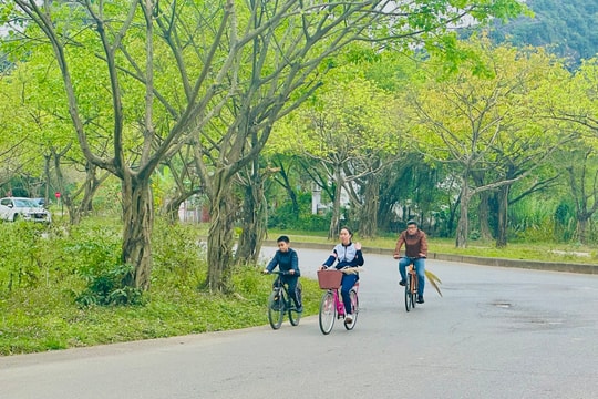 Xu hướng du lịch gia đình của khách Việt Nam