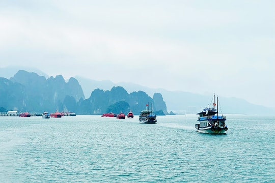 Vịnh Bái Tử Long: Điểm đến mới cho du lịch hạng sang