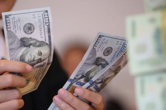 Tỷ giá VND/USD ổn định trên thị trường tự do