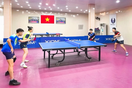 Hai nhà vô địch SEA Games Đinh Anh Hoàng, Trần Mai Ngọc dự Giải vô địch Bóng bàn quốc gia Báo Nhân Dân
