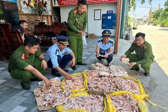 Phát hiện gần 500kg chân gà, đuôi lợn đông lạnh không rõ xuất xứ