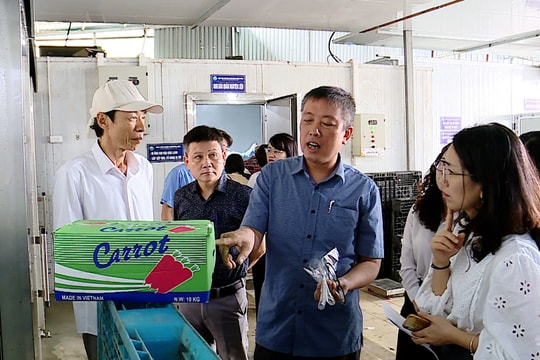 Xử lý vi phạm an toàn thực phẩm từ gốc