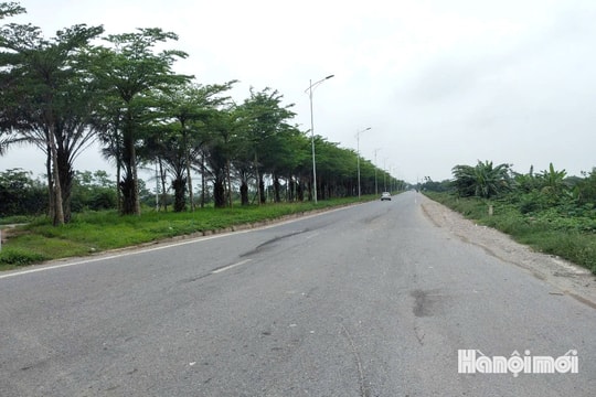 Đường Cienco5 được làm sạch sau phản ánh của Báo Hànộimới