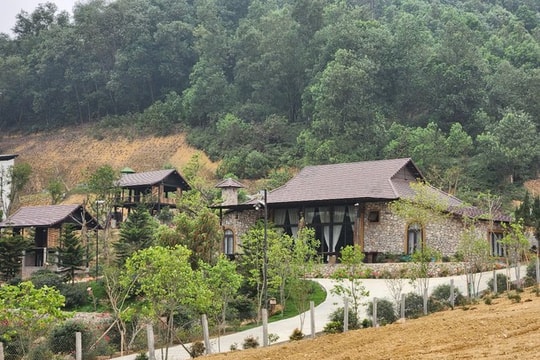 Thành phố Hà Nội chỉ đạo xử lý thông tin lấn chiếm đất đai ở Thạch Thất và Đông Anh