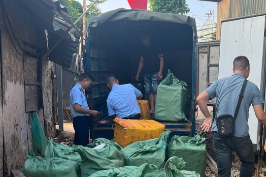Hà Nội: Tạm giữ 800kg trứng gà non, tràng gà đông lạnh không rõ nguồn gốc