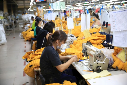 Nền tảng cho kinh tế tư nhân cất cánh