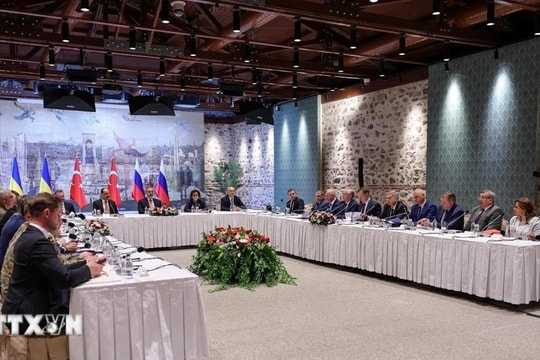 Ukraine kỳ vọng gặp thượng đỉnh với Nga trong bước đàm phán tiếp theo