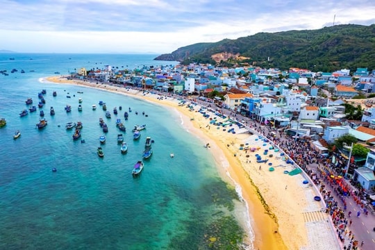 Xã Nhơn Hải đạt chuẩn Nông thôn mới kiểu mẫu đầu tiên của Bình Định