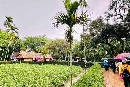 Hàng vạn người đến thăm các điểm di tích về Bác Hồ