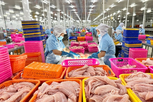 Chính sách phát triển kinh tế tư nhân qua các thời kỳ
