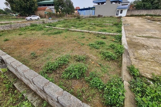 Giá đất nền tăng nhanh, cục bộ tại một số địa phương sau thông tin sáp nhập