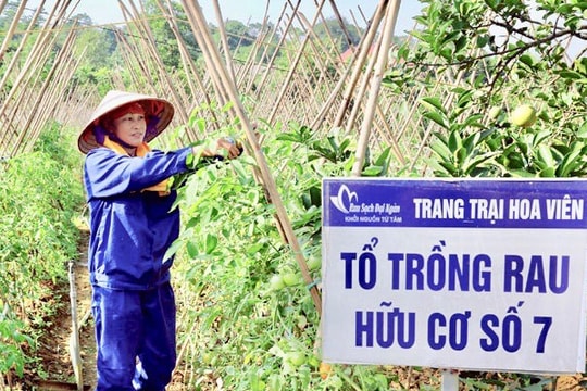 Phát triển nông nghiệp hữu cơ tại Hà Nội: Tăng giá trị nông sản, bảo vệ môi trường