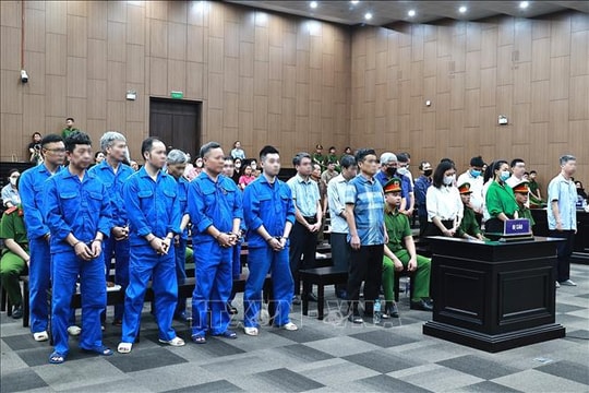 Cựu Thứ trưởng Bộ Tài nguyên và Môi trường bị phạt 3 năm tù trong vụ đất hiếm