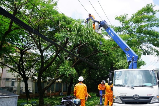 Ngành điện thành phố Hồ Chí Minh tăng cường giải pháp bảo đảm an toàn mùa mưa bão