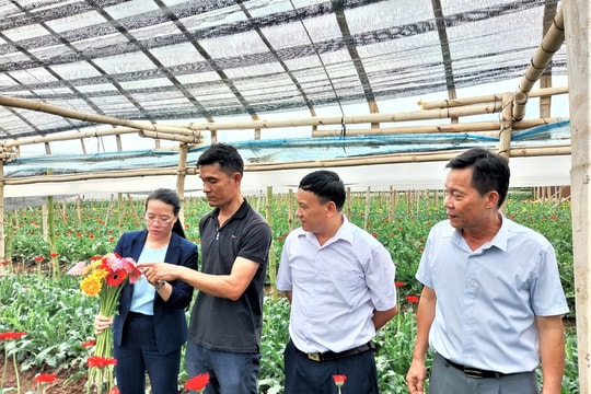 Phát huy vai trò chủ thể của nông dân trong xây dựng Nhà nước pháp quyền