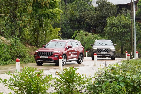 Triệu hồi Ford Territory để cập nhật phần mềm vì hiển thị lỗi "cá vàng"