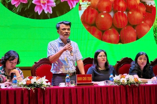 Thúc đẩy ngành nông nghiệp huyện Mê Linh phát triển hiệu quả, bền vững