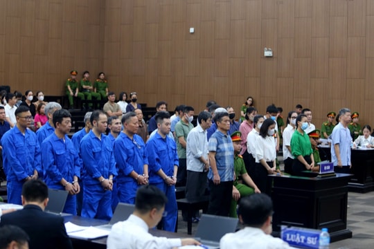 Vụ buôn lậu đất hiếm: Cựu Thứ trưởng Bộ Tài nguyên và Môi trường bị tuyên phạt 3 năm tù