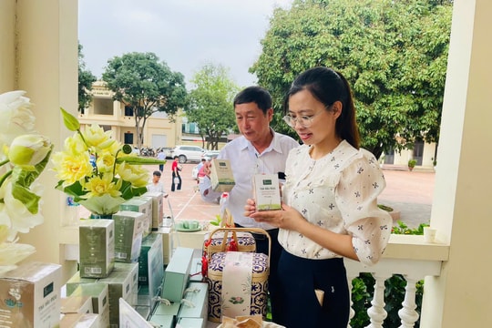 Tìm đầu ra cho nông sản an toàn Sóc Sơn