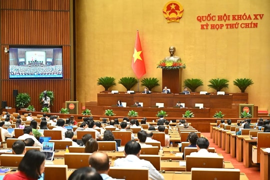 Loại bỏ các nhà thầu không phù hợp, lợi dụng chỉ định thầu để trục lợi