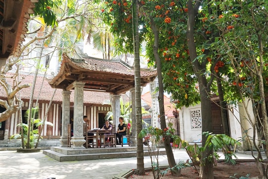 Ứng xử của người xưa
