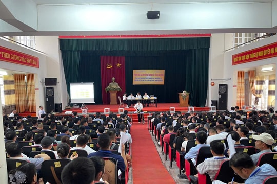 Phú Xuyên: Đấu giá thành công 76 thửa đất tại xã Phú Túc