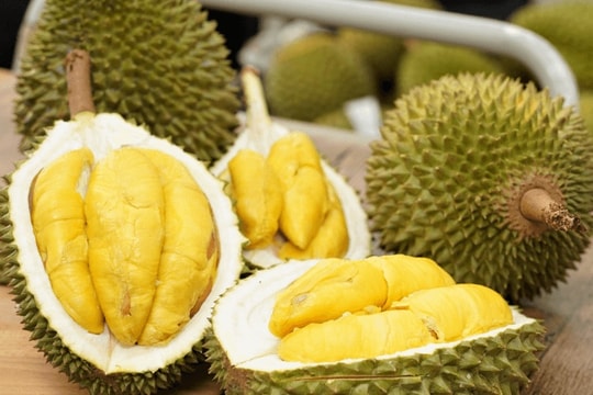 Thủ tướng Chính phủ chỉ đạo thúc đẩy sản xuất và xuất khẩu sầu riêng bền vững