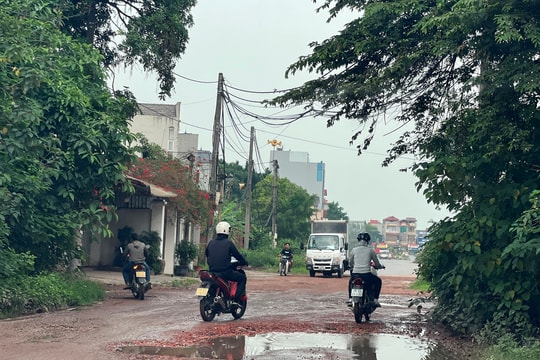 Huyện Đông Anh: Đẩy nhanh tiến độ giải phóng mặt bằng, đưa dự án sớm về đích