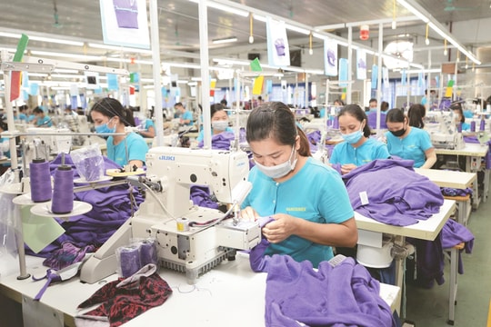 Phát triển sản xuất xanh: Cần các doanh nghiệp chủ động vào cuộc