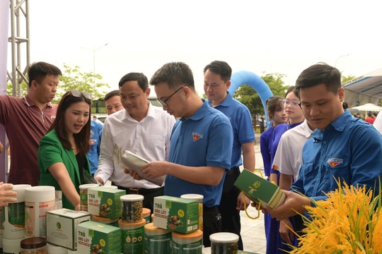 Phát huy vai trò thanh niên công nhân trong thời kỳ mới