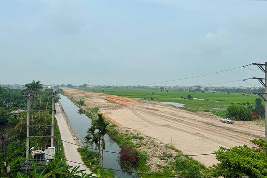 [Podcast] Đấu giá 30 thửa đất tại Phú Xuyên, thu về gấp 9 lần giá khởi điểm