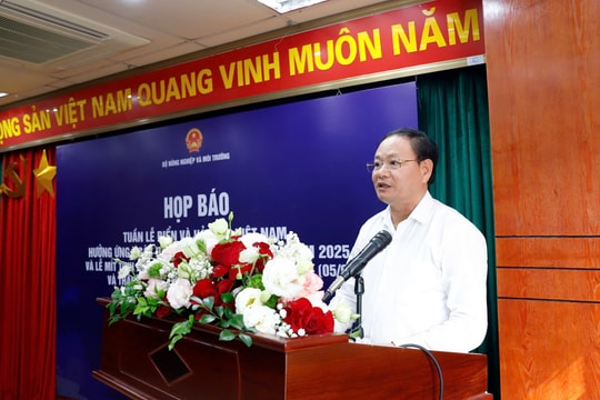 Cùng hành động mỗi ngày để xây dựng một Việt Nam xanh và một đại dương bền vững