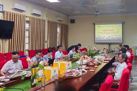 Huyện Ứng Hòa đánh giá, phân hạng 9 sản phẩm OCOP